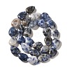 Natural Blue Spot Jasper Beads Strands G-I377-A12-3