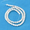 Natural Shell Beads Strands X-PRS001Y-2