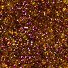 Spray Painted Glass Seed Beads SEED-F005-04A-02-3