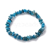 Natural Apatite Chip Beaded Stretch Bracelets BJEW-JB10868-01-1