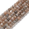 Natural Grey Moonstone Beads Strands G-F632-24-02-01-3