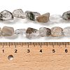 Natural Green Lodolite Quartz Beads Strands G-P497-01E-05-5