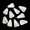 Dyed Natural Shell Pendants SHEL-C010-13B-1