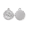 Alloy Pendants FIND-A023-07P-1