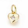 Brass Micro Pave Cubic Zirconia Charms X-ZIRC-F095-04G-1