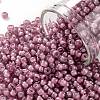 TOHO Round Seed Beads SEED-XTR08-0959F-1