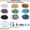 Gemstone Chip Beads G-PA0001-58-2