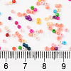 13/0 Glass Seed Beads SEED-T005-12D-2