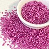 Opaque Colours Glass Seed Beads PW-WG6EF65-06-1