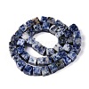 Natural Blue Spot Jasper Beads Strands G-T139-8x8-41-2