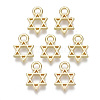 Alloy Charms PALLOY-S132-084-1