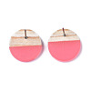 Transparent Resin & Wood Stud Earrings EJEW-N017-003A-D04-4