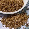 MIYUKI Delica Beads SEED-MY11-DB2273-1