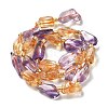 Natural Citrine & Amethyst Beads Strands G-H074-C01-01-3