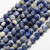 Natural Sodalite Beads Strands G-J364-01-10mm-1