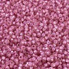 MIYUKI Round Rocailles Beads SEED-JP0008-RR0556-3