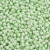 8/0 Opaque Glass Seed Beads SEED-S048-N-009-3