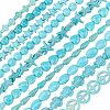 Olycraft 10 Strands 10 Style Synthetic Turquoise Beads Strands G-OC0002-14-1