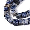 Natural Blue Spot Jasper Beads Strands G-T139-8x8-41-3