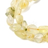 Natural Gold Prehnite Beads Strands G-K395-A07-01-4