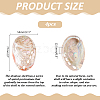 Natural Shell Display Decorations DJEW-WH0042-143D-2