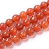 Natural Agate Beads Strands G-I261-B04-6mm-1