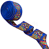 Flat Ethnic Style Embroidery Polyester Ribbons OCOR-WH0067-86A-1