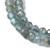Natural Apatite Beads Strands G-C137-A01-01-4