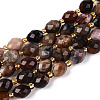 Natural Petrified Wood Beads Strands G-N342-35-8x6-07-2