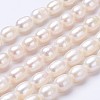 Natural Cultured Freshwater Pearl Beads Strands PEAR-P002-13-01-1