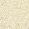 Baking Paint Glass Seed Beads SEED-L011-09A-17-3