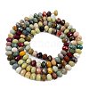 Natural Alashan Agate Beads Strands G-C127-B01-01-5