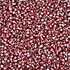 8/0 Glass Seed Beads SEED-S006-32-3