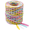 Segment Dyed Raffia Paper Cords for DIY Craft OCOR-WH20020-27C-1