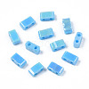 2-Hole Opaque Glass Seed Beads SEED-N004-002-B01-2