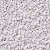 8/0 Glass Seed Beads SEED-US0003-3mm-41-2