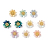 Resin Charms PALLOY-JF03254-02-1