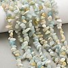 Natural Flower Amazonite Chips Beads Strands G-M205-12B-9
