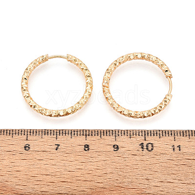 304 Stainless Steel Hoop Earrings STAS-T074-19G-1
