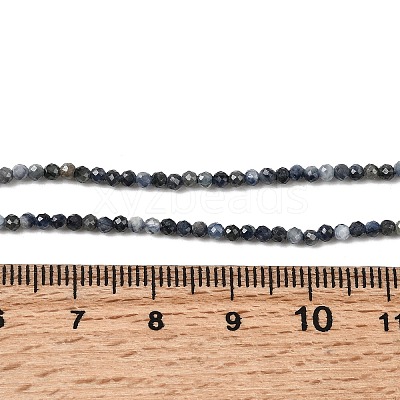 Natural Sapphire Beads Strands G-K366-C04-2mm-1