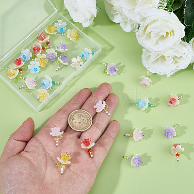 40Pcs 5 Colors Acrylic & ABS Plastic Imitation Pearl Pendants FIND-BM0001-51-1