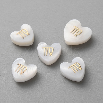 5Pcs Natural White Shell Beads BSHE-TAC0004-02H-1
