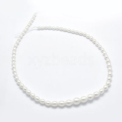 Natural Cultured Freshwater Pearl Beads Strands PEAR-K003-21C-1