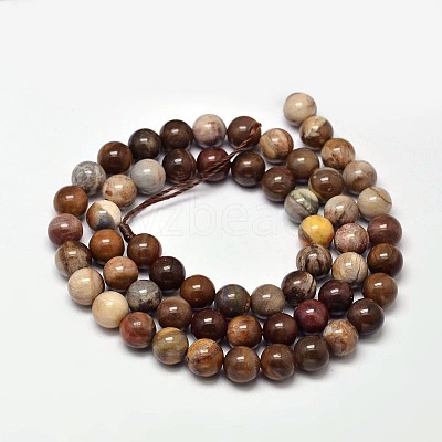 Natural Petrified Wood Round Bead Strands X-G-F266-08-6mm-1