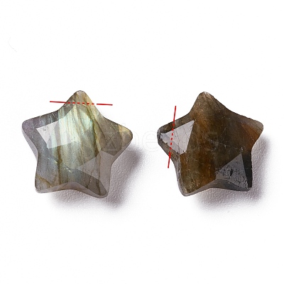 Natural Labradorite Charms X-G-H241-04C-1