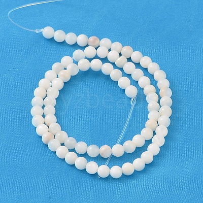 Natural Shell Beads Strands X-PRS001Y-1