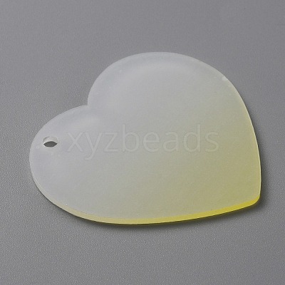Gradient Transparent Acrylic Disc Big Pendants FIND-WH0032-54F-1