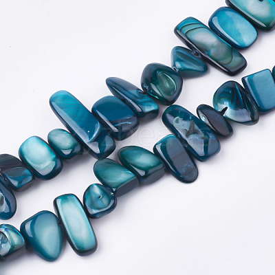 Freshwater Shell Beads Strands SHEL-S274-40B-1