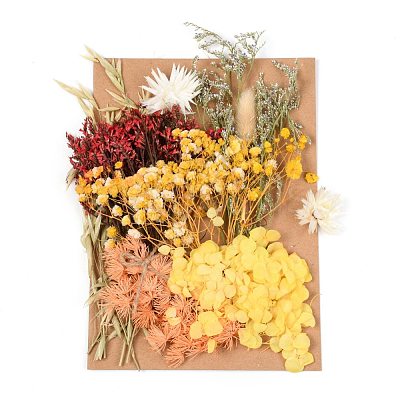 Dried Flower DIY-B018-13-1