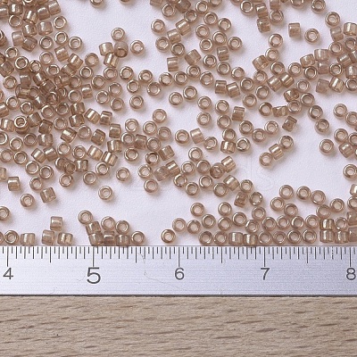 MIYUKI Delica Beads Small SEED-X0054-DBS0102-1